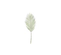 KDMD Botanica Areca Palm Frond 74cm 2 Pack in Green KDMD Green