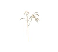 KDMD Botanica Glitter Gold Phytolacca Branch 150cm KDMD Gold