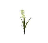 KDMD Botanica Mini Green Cymbidium Plant 45cm KDMD Green