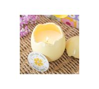KDMD Citrus & Ginger Egg-Shaped Candle - Spring Scented Home Decor in Yellow KDMD Yellow