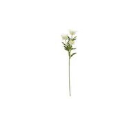 KDMD Cream Sea Holly Spray - Faux Coastal Floral for Retail Displays KDMD Cream