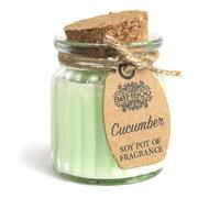 KDMD Cucumber Soy Pot of Fragrance Candles - (Set of 2) in Green KDMD Green