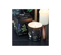 KDMD Deadly Nightshade Scented Candle - Gothic Poison Plant Gift in Black KDMD Black