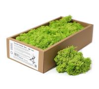 KDMD Decoration Reindeer Moss - Light Grass - (approx 500gm) in Green KDMD Green