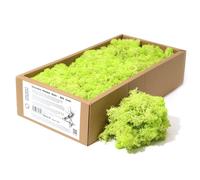 KDMD Decoration Reindeer Moss - Mint Green - (approx 500gm) KDMD Green