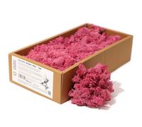 KDMD Decoration Reindeer Moss - Pink - (approx 500gm) KDMD Pink