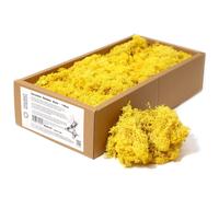 KDMD Decoration Reindeer Moss - Yellow - (approx 500gm) KDMD Yellow