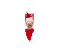 KDMD Dog Father Christmas Hat & Scarf 2 Pack KDMD Multicolor