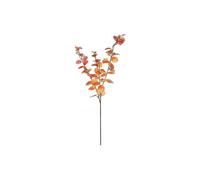 KDMD Essential Autumn Eucalyptus Stem - Orange 2 Pack KDMD Orange