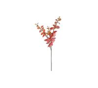 KDMD Essential Autumn Eucalyptus Stem - Red Orange 2 Pack KDMD Red