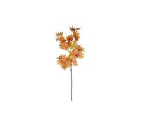 KDMD Essential Autumn Maple Leaf -Orange 2 Pack in Orange KDMD Orange