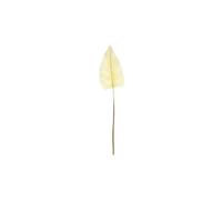 KDMD Essential Dry Look Bleached Cala Leaf 105cm 2 Pack in Yellow KDMD Yellow