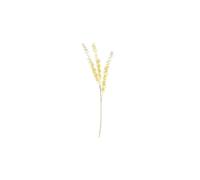 KDMD Essential Dry Look Eucalyptus Stem 3 Pack in Natural KDMD Natural