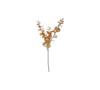 KDMD Essential Orange Green Eucalyptus Stem 2 Pack KDMD Orange