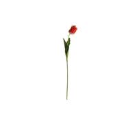 KDMD Essential Orange Parrot Tulip 70cm 6 Pack KDMD Orange