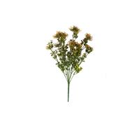 KDMD Essential Orange Sedum Bush 3 Pack KDMD Orange