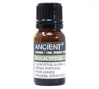 Ancient Wisdom 10 ml Eucalyptus Organic Essential Oil
