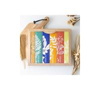 KDMD Exotic Botanical Masala Incense Stick Variety Set KDMD Multicolor