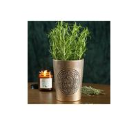 KDMD Garden Witch Bronze Effect Terracotta Plant Pot for Herbs & Succulents KDMD Bronze