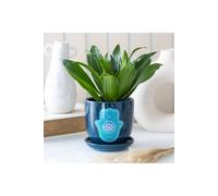 KDMD Hand of Hamsa Ceramic Plant Pot for Indoor Plants & Succulents in Blue KDMD Blue
