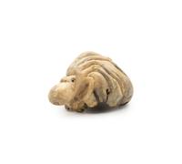 KDMD Handmade Parasite Wood Ocean Octopus Carving - Coastal Wooden Ornament in Brown KDMD Brown
