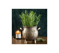 KDMD Herbal Magic Bronze Effect Terracotta Cauldron Plant Pot KDMD Bronze