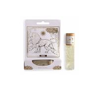 KDMD HH Tarot Roll-On - The Lion for Strength, Serenity & Leadership in Clear KDMD Clear