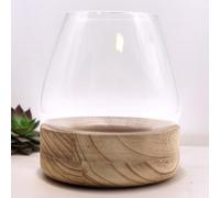 KDMD Large Terarium on Natural Tung Wood in Brown KDMD Brown