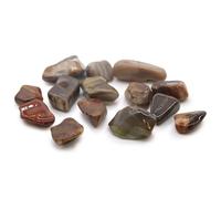 KDMD M Tumble Stone - Petrified Wood - (Set of 24) in Maroon KDMD Maroon