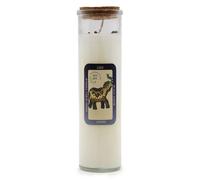 KDMD Magic Spell Candle - Luck in White KDMD White