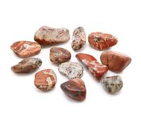 KDMD Medium African Tumble Stones - Light Jasper - Brecciated - (Set of 12) KDMD Multicolor One Size