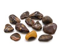 KDMD Medium African Tumble Stones - Picture Nguni - (Set of 12) in Brown KDMD Brown