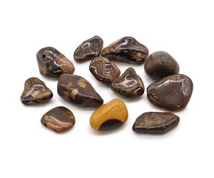 KDMD Medium African Tumble Stones - Picture Nguni - (Set of 12) in Brown KDMD Brown