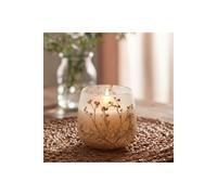 KDMD Medium Wildlight Woods Glass Jar Candle With Dried Flowers in Brown KDMD Brown