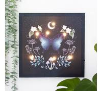 Midnight Moth Light Up Canvas Plaque KDMD Chocolate One Size