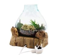 KDMD Molten Glass Large Fish Tank 3.7 litre (with light cavity)- 30cm in Brown KDMD Brown