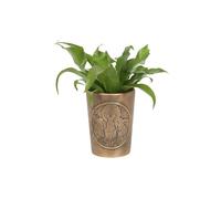 KDMD Moon Shadows Bronze Terracotta Plant Pot KDMD Bronze