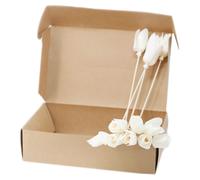 KDMD Natural Diffuser Flowers - Tulip on Reed - (Set of 12) in White KDMD White
