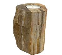 KDMD Petrified Wood Candle Holder - Single Tall in Brown KDMD Brown