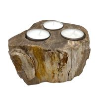 KDMD Petrified Wood Candle Holder - Triple in Brown KDMD Brown