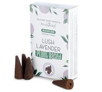 KDMD Plant Based Backflow Incense Cones - Lush Lavender in White KDMD White