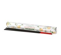 KDMD Plant Based Incense Sticks - Sandalwood in White KDMD White