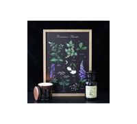 KDMD Poisonous Plants Framed Wall Art Print in Black KDMD Black