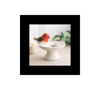Robin Bird Bath Ceramic Trinket Dish For Keepsakes