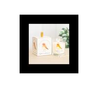 KDMD Robin Remembrance Cranberry Clove Candle I Light a Candle for You in Off-White KDMD Off-White