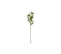 KDMD Sea Holly Spray - Realistic Faux Floral for Coastal Decor in Green KDMD Green