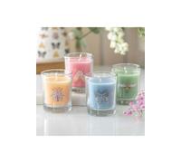 KDMD Set of 4 Floral Bug Mandarin & Bergamot Candles KDMD Multicolor