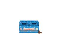 Satya Buddhas Blessing Backflow Incense Cones (Pack of 144) (One Size) (Blue)