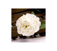 KDMD Single Peony Cream 68cm 2 Pack KDMD Cream