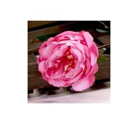 KDMD Single Peony Dark Pink 68cm 2 Pack KDMD Dark Pink